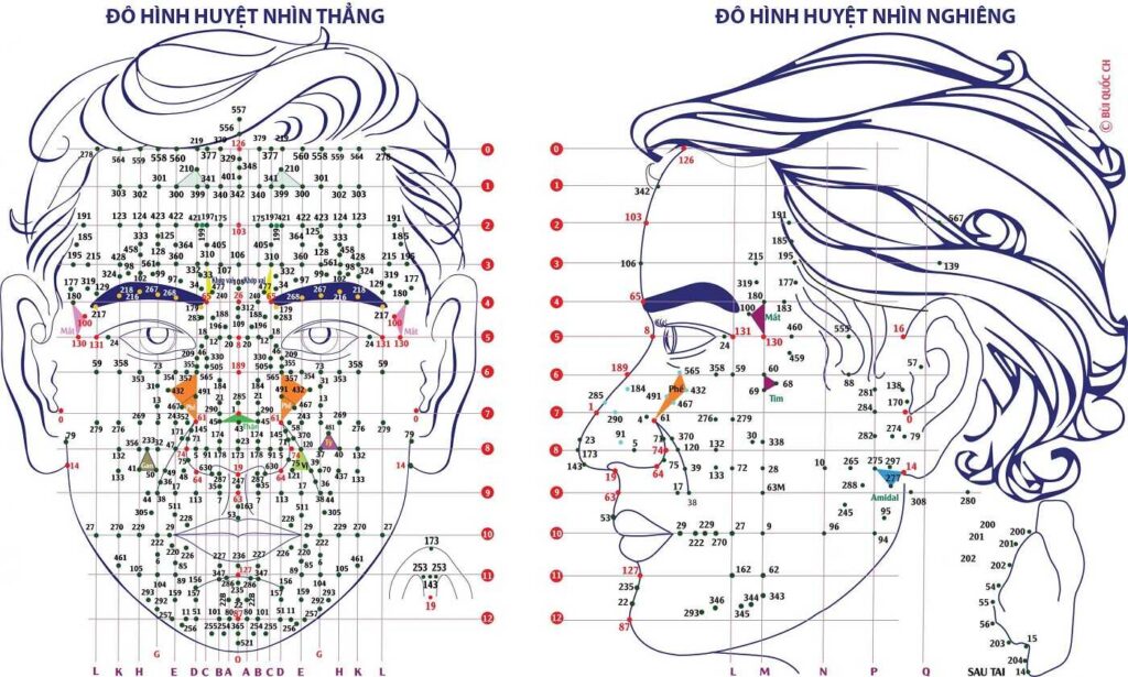 32 Phát Đồ Diện Chẩn Đặc Hiệu