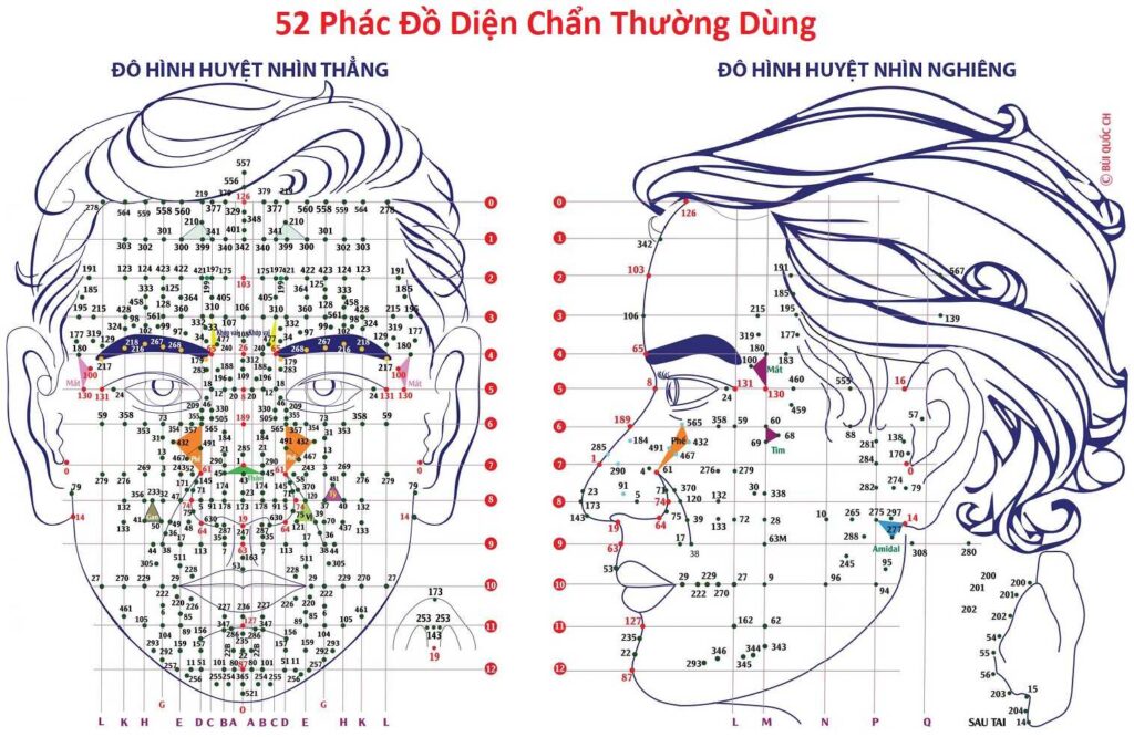 52 Phác Đồ Diện Chẩn Bùi Quốc Châu Thường Dùng