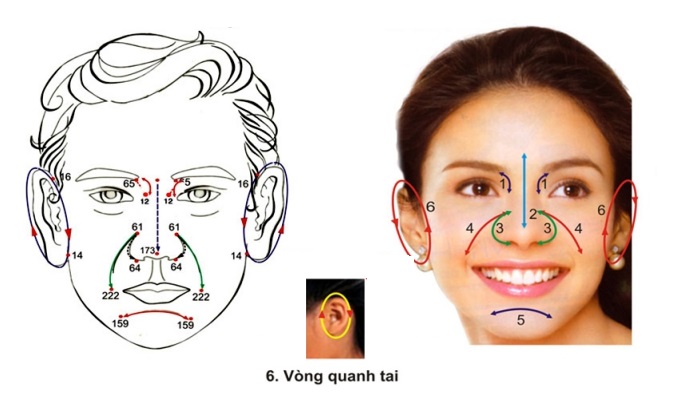 Kỹ Thuật Gạch 6 Vùng Phản Chiếu Hệ Bạch Huyết Diện Chẩn