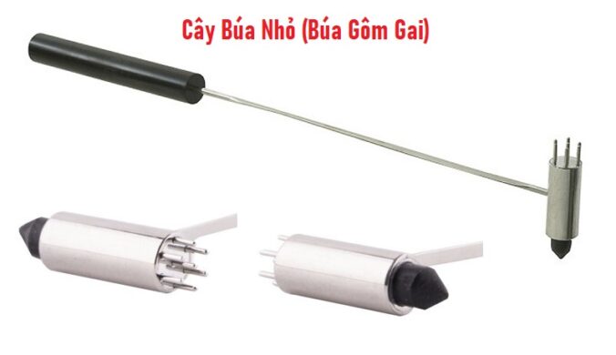 Cây Búa Nhỏ (Búa Gôm Gai) Diện Chẩn