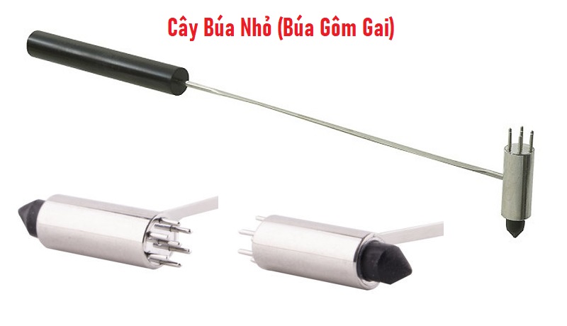 Cây Búa Nhỏ (Búa Gôm Gai) Diện Chẩn