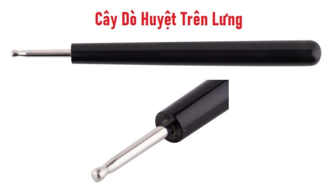 Cây Dò Huyệt Trên Lưng Diện Chẩn