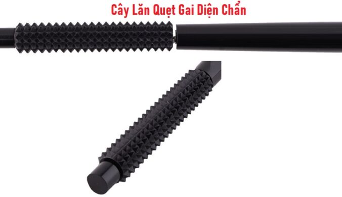 Cây Lăn Quẹt Gai Diện Chẩn