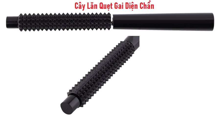 Cây Lăn Quẹt Gai Diện Chẩn