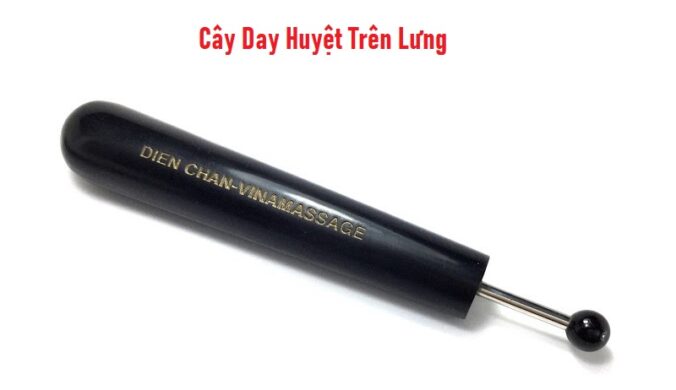 Cây Day Huyệt Trên Lưng Diện Chẩn