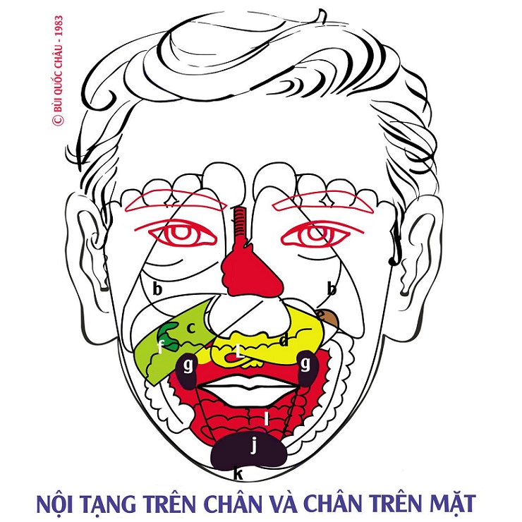 Đồ Hình Diện Chẩn – Phản Chiếu Nội Tạng Trên Chân Và Phản Chiếu Chân Trên Mặt