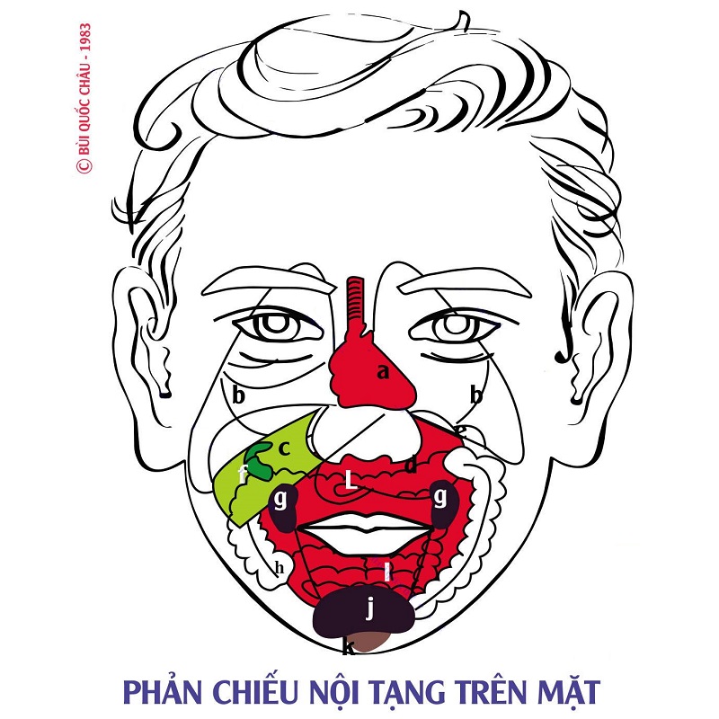 Đồ Hình Diện Chẩn - Phản Chiếu Nội Tạng Trên Mặt