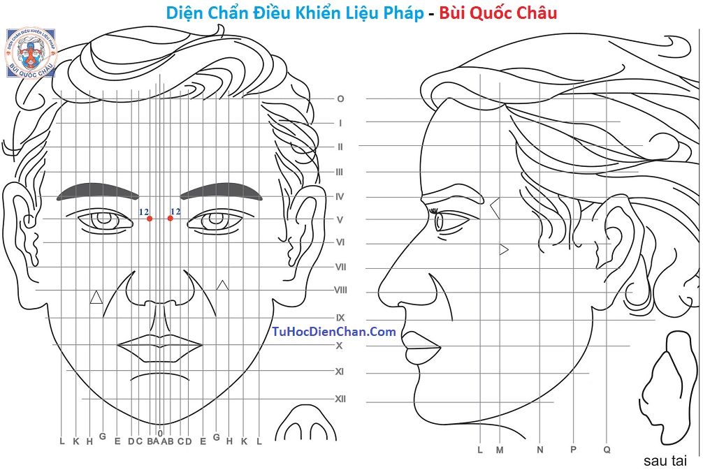 Huyệt Số 12 Diện Chẩn Bùi Quốc Châu: Vị Trí, Tác Dụng, Chủ Trị