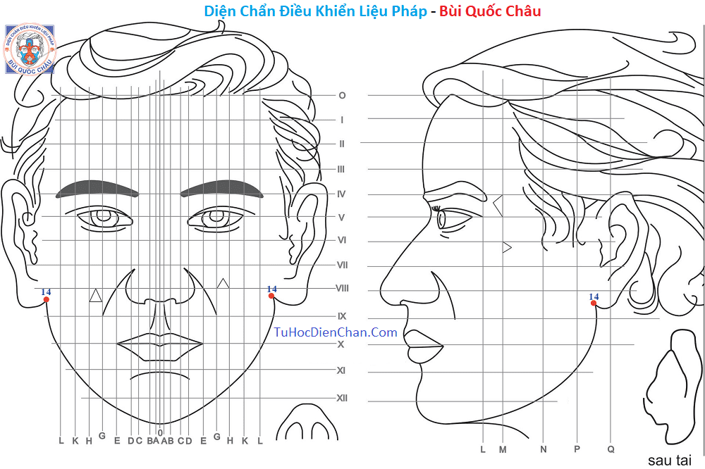 Huyệt Số 14 Diện Chẩn Bùi Quốc Châu: Vị Trí, Tác Dụng, Chủ Trị
