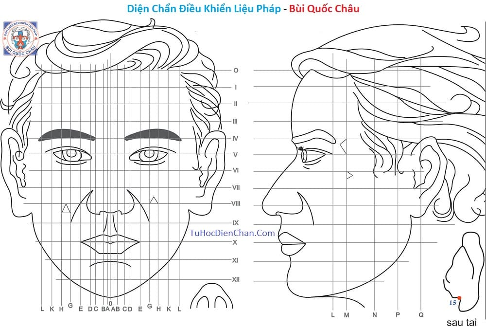 Huyệt Số 15 Diện Chẩn Bùi Quốc Châu: Vị Trí, Tác Dụng, Chủ Trị