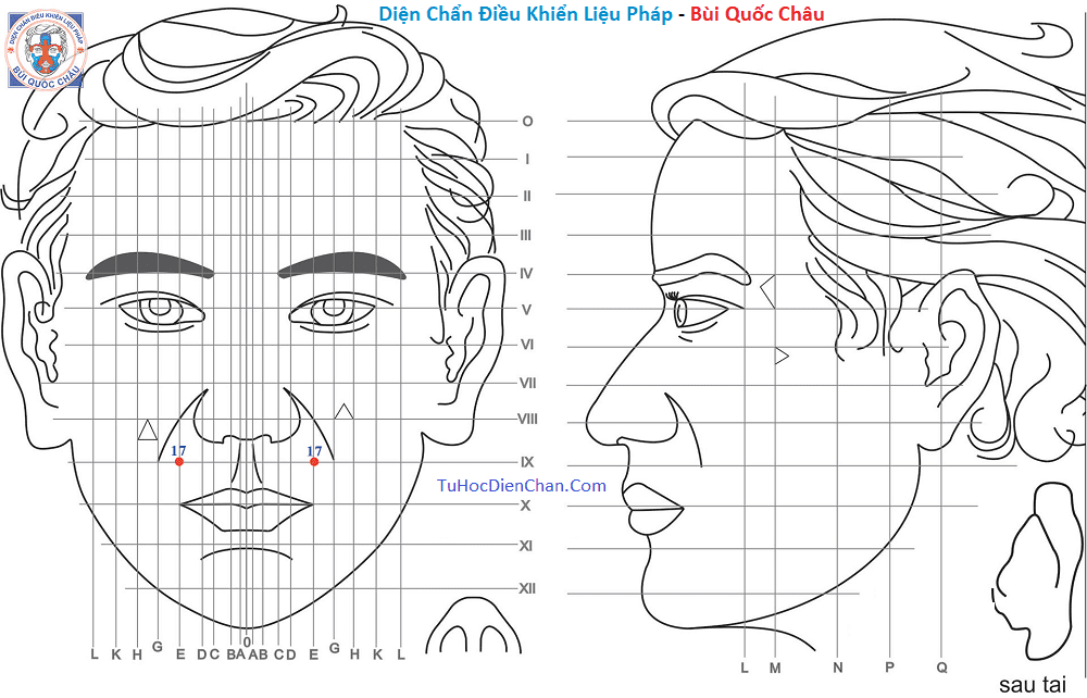 Huyệt Số 17 Diện Chẩn Bùi Quốc Châu: Vị Trí, Tác Dụng, Chủ Trị