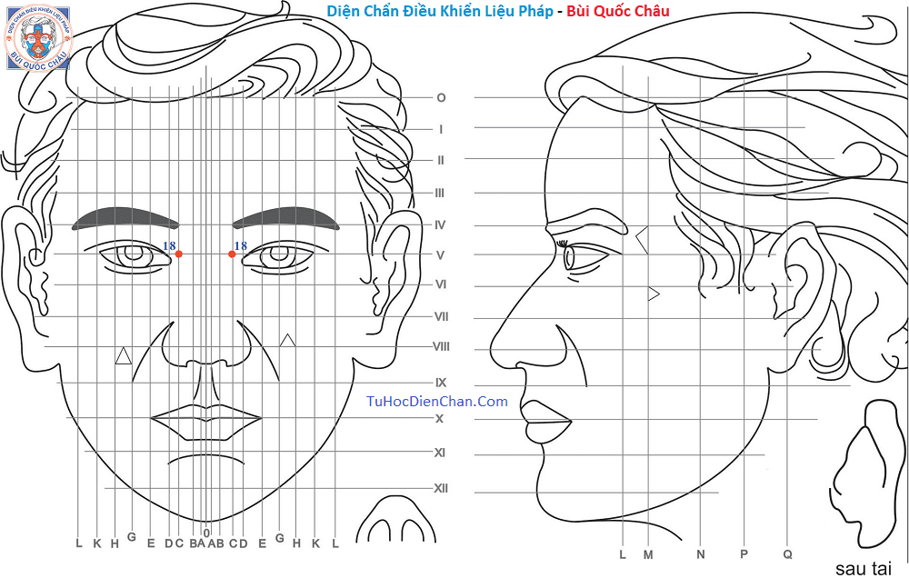Huyệt Số 18 Diện Chẩn Bùi Quốc Châu: Vị Trí, Tác Dụng, Chủ Trị