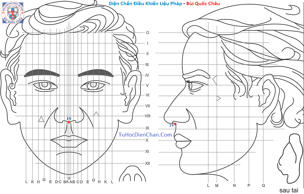 Huyệt Số 19 Diện Chẩn Bùi Quốc Châu: Vị Trí, Tác Dụng, Chủ Trị