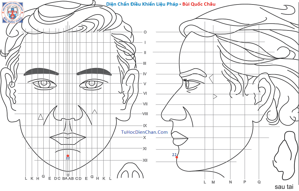 Huyệt Số 22 Diện Chẩn Bùi Quốc Châu: Vị Trí, Tác Dụng, Chủ Trị