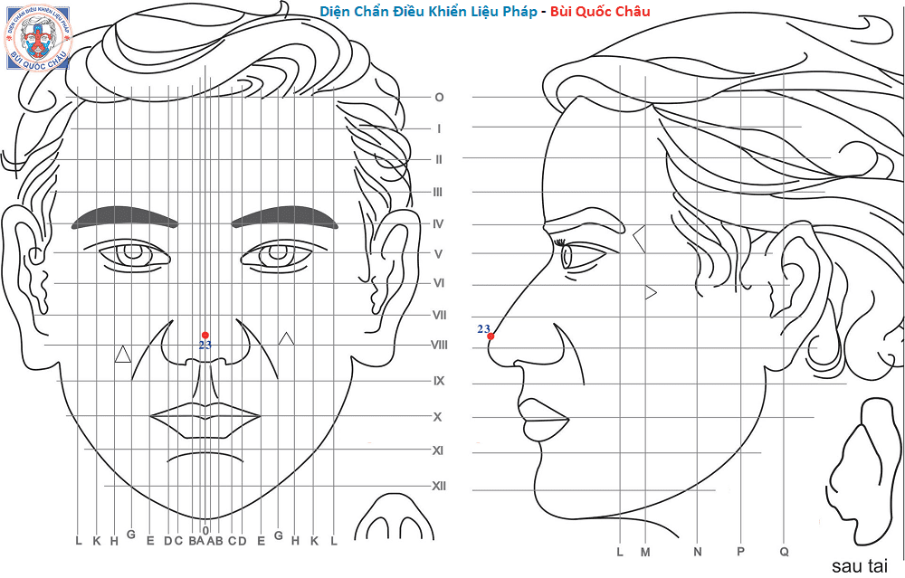Huyệt Số 23 Diện Chẩn Bùi Quốc Châu: Vị Trí, Tác Dụng, Chủ Trị