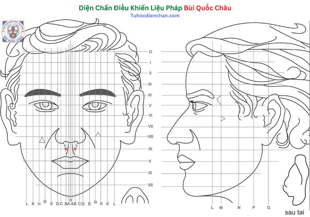 Huyệt Số 7 Diện Chẩn Bùi Quốc Châu: Vị Trí, Tác Dụng, Chủ Trị