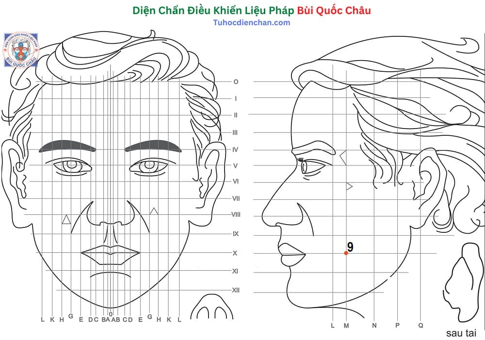 Huyệt Số 9 Diện Chẩn Bùi Quốc Châu: Vị Trí, Tác Dụng, Chủ Trị