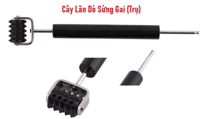 Cây Lăn Dò Sừng Gai (Trụ) Diện Chẩn