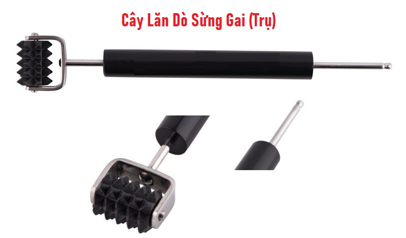 Cây Lăn Dò Sừng Gai (Trụ) Diện Chẩn 