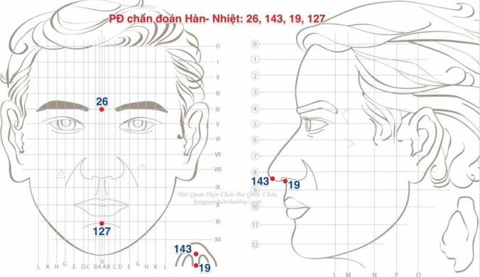 Phác đồ Chẩn đoán Hàn – Nhiệt Diện Chẩn Bùi Quốc Châu