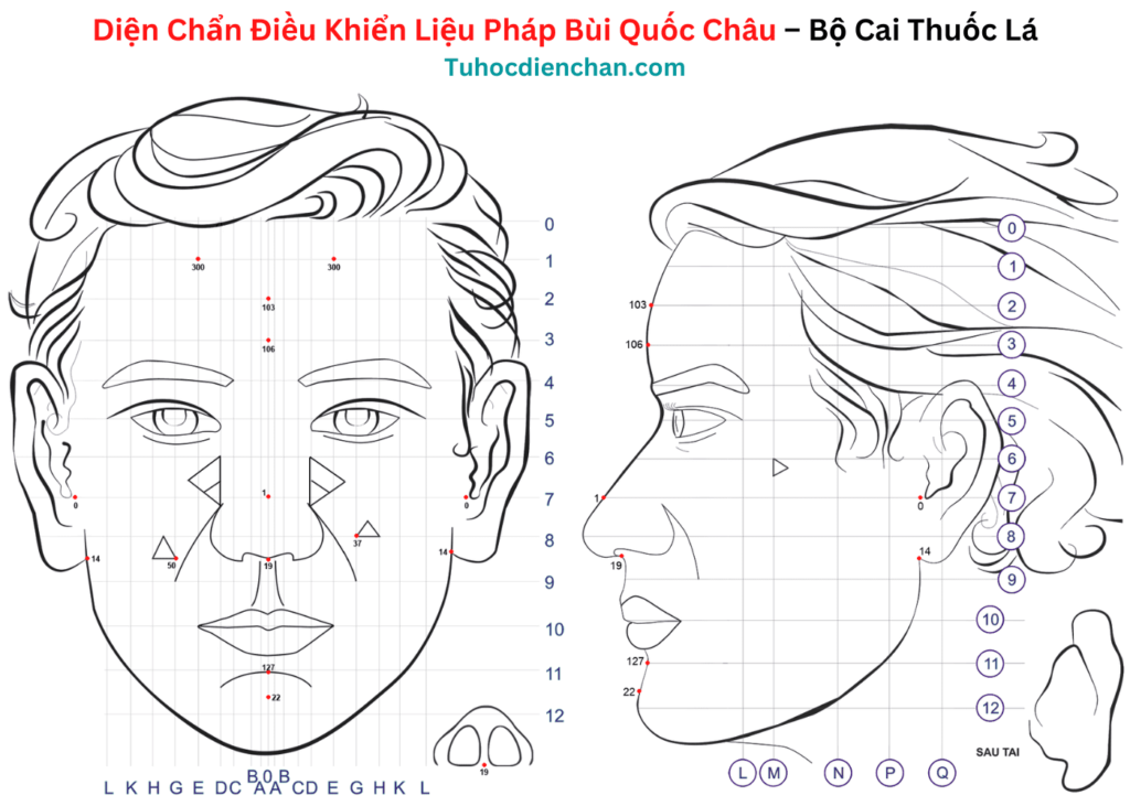 Bộ huyệt Diện Chẩn Cai Thuốc Lá