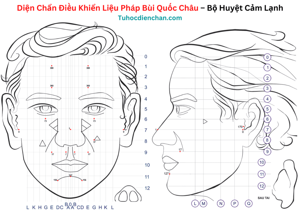 Bộ huyệt Diện Chẩn Cảm Lạnh - Bùi Quốc Châu