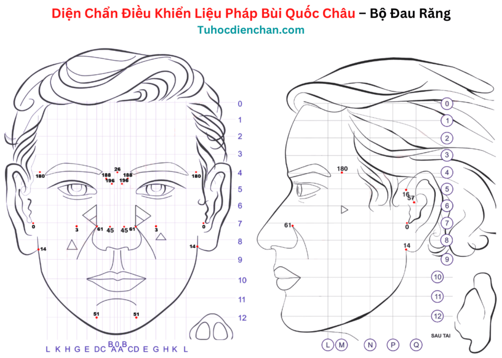 Bộ huyệt Diện Chẩn Chứng Đau Răng – Bùi Quốc Châu