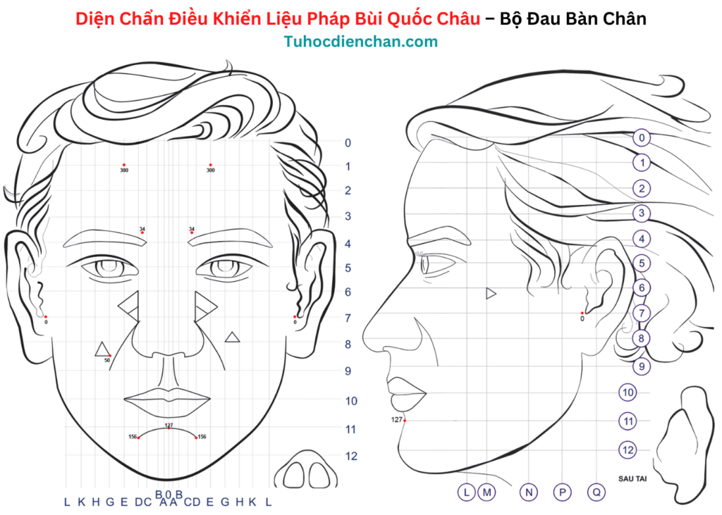 Bộ huyệt Diện Chẩn Đau Bàn Chân - Bùi Quốc Châu