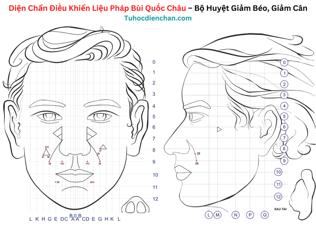 Bộ huyệt Diện Chẩn Giảm Béo, Giảm Cân