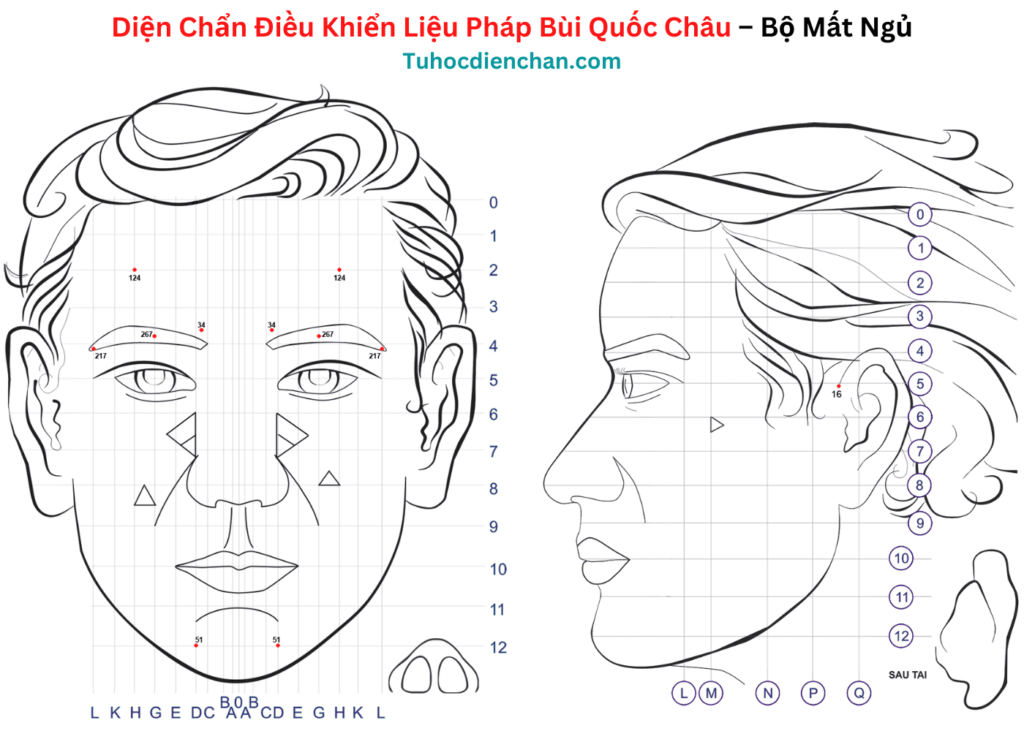 Bộ huyệt Diện Chẩn Mất Ngủ – Bùi Quốc Châu