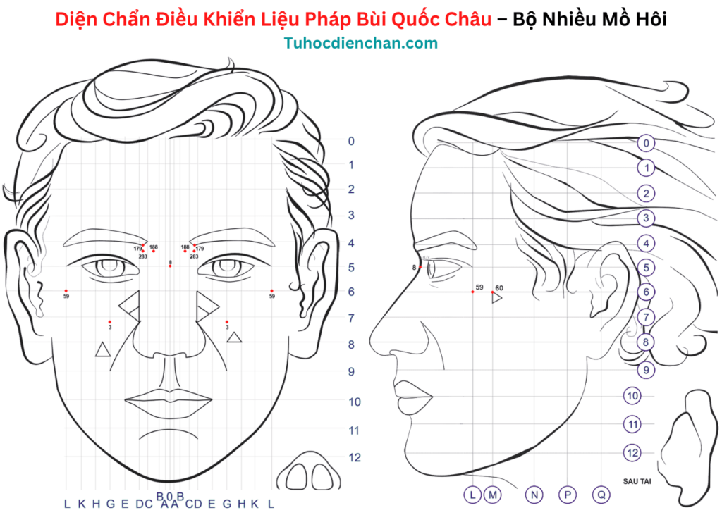 Bộ huyệt Diện Chẩn Nhiều Mồ Hôi