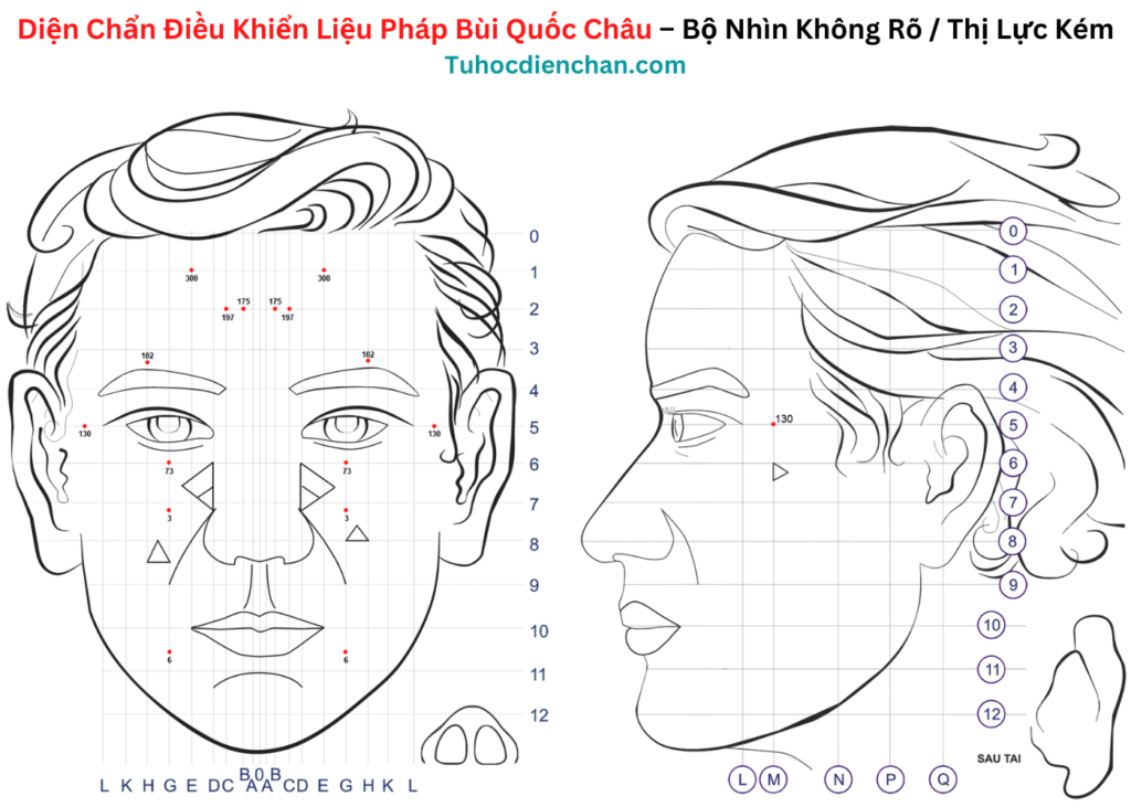 Bộ huyệt Diện Chẩn Nhìn Không Rõ (Thị Lực Kém)