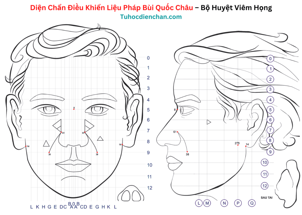 Bộ huyệt Diện Chẩn Viêm Họng - Bùi Quốc Châu