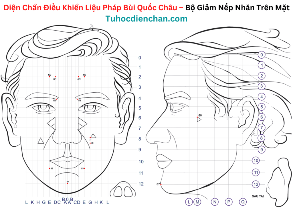 Bộ Huyệt Giảm Nếp Nhăn Trên Mặt – Diện Chẩn Bùi Quốc Châu