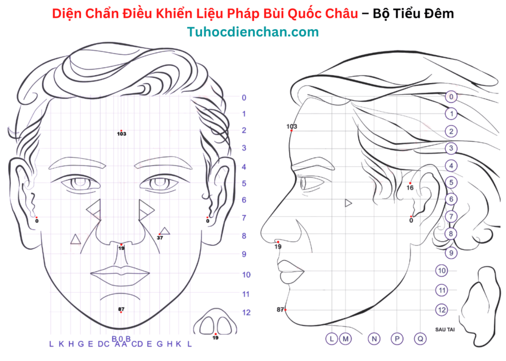 Bộ Huyệt Tiểu Đêm – Diện Chẩn Bùi Quốc Châu