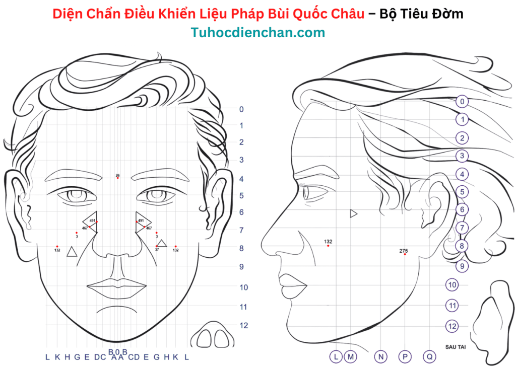 Bộ Huyệt Tiêu Đờm – Diện Chẩn Bùi Quốc Châu