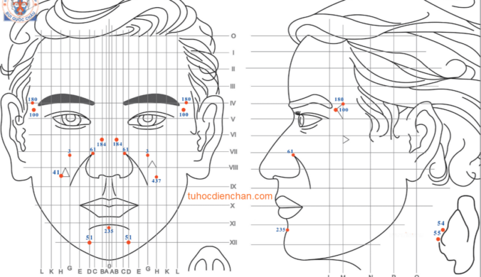 Bộ Vị Huyệt Diện Chẩn Liên Hệ Nữa Bên Đầu