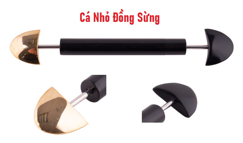 Cá Nhỏ Đồng Sừng (Con Cá Hai Đầu) Diện Chẩn 