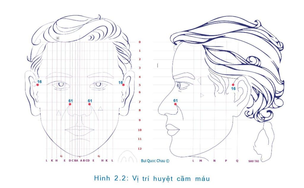 Cấp Cứu Chảy Máu Bằng Diện Chẩn Bùi Quốc Châu