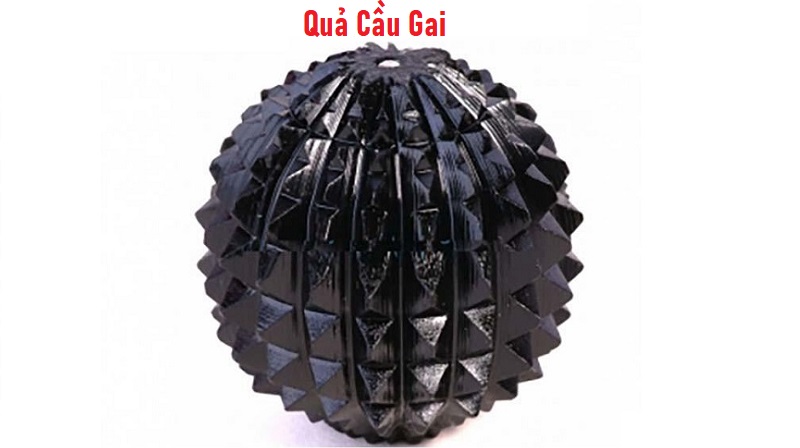 Quả Cầu Gai