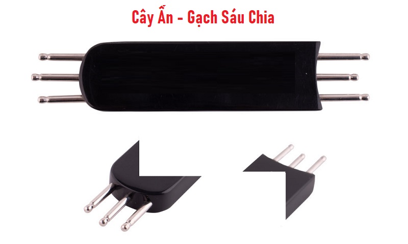 Cây Ấn - Gạch Sáu Chia Diện Chẩn