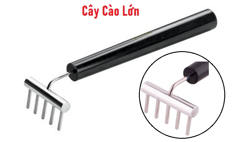 Cây Cào Lớn Diện Chẩn