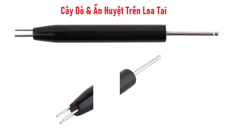 Cây Dò & Ấn Huyệt Trên Loa Tai Diện Chẩn 