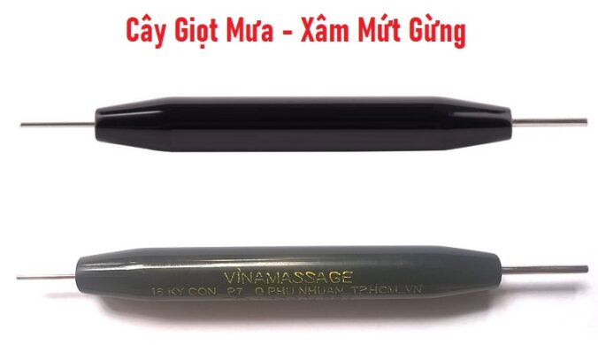 Cây Giọt Mưa - Xâm Mứt Gừng Diện Chẩn