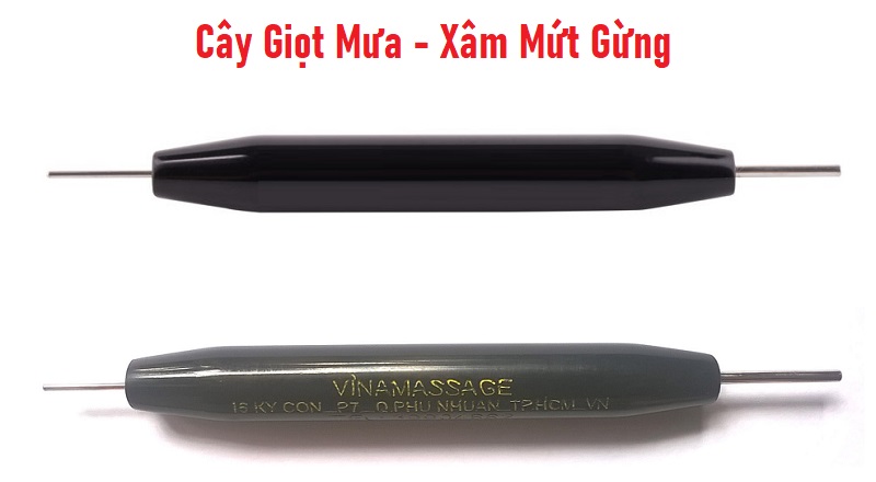 Cây Giọt Mưa - Xâm Mứt Gừng Diện Chẩn