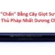 Cây Giọt Sương và thủ pháp NHẤT DƯƠNG CHỈ