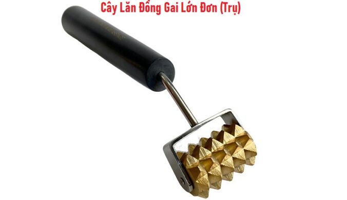 Cây Lăn Đồng Gai Lớn Đơn (Trụ) Diện Chẩn