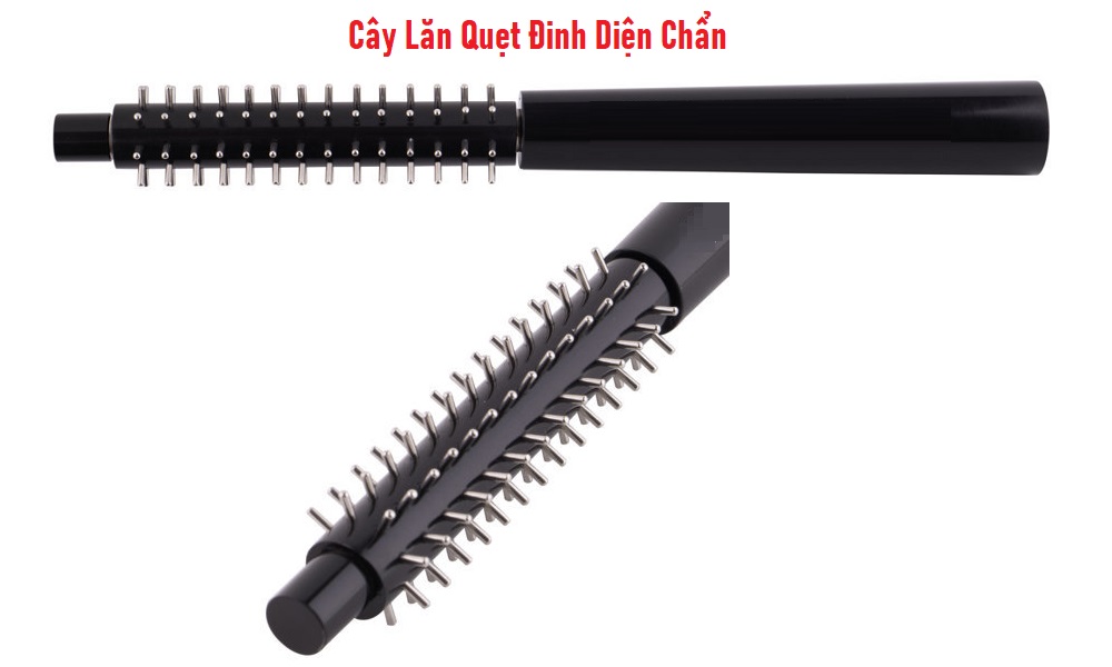 Cây Lăn Quẹt Đinh Diện Chẩn (giá 240.000đ)