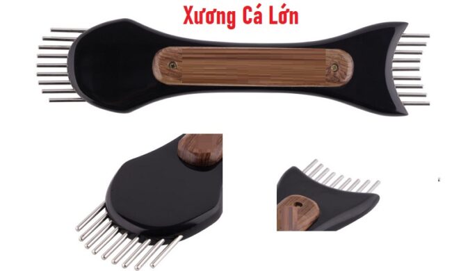 Xương Cá Lớn Diện Chẩn