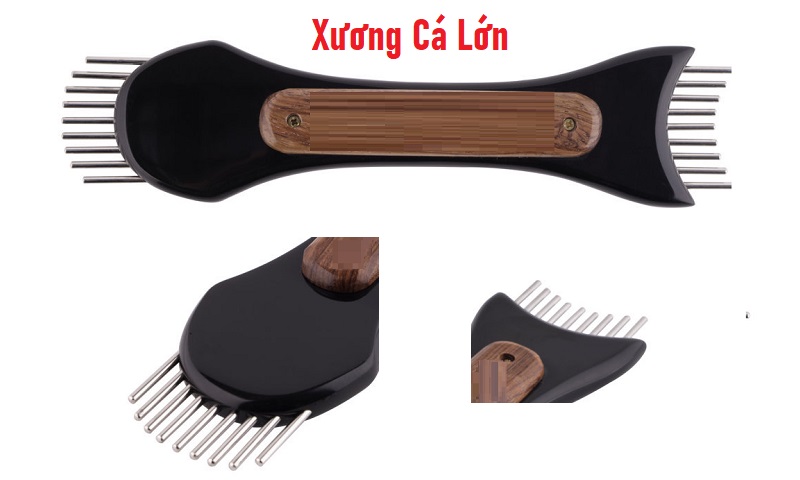 Xương Cá Lớn Diện Chẩn